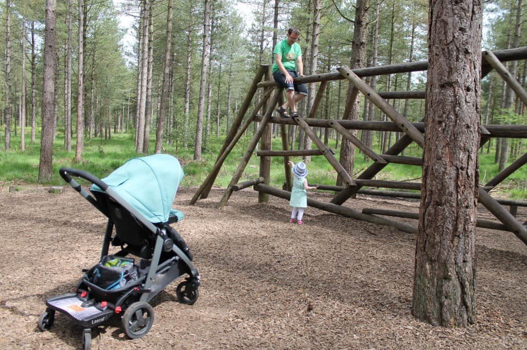 A Day at Moors Valley Country Park