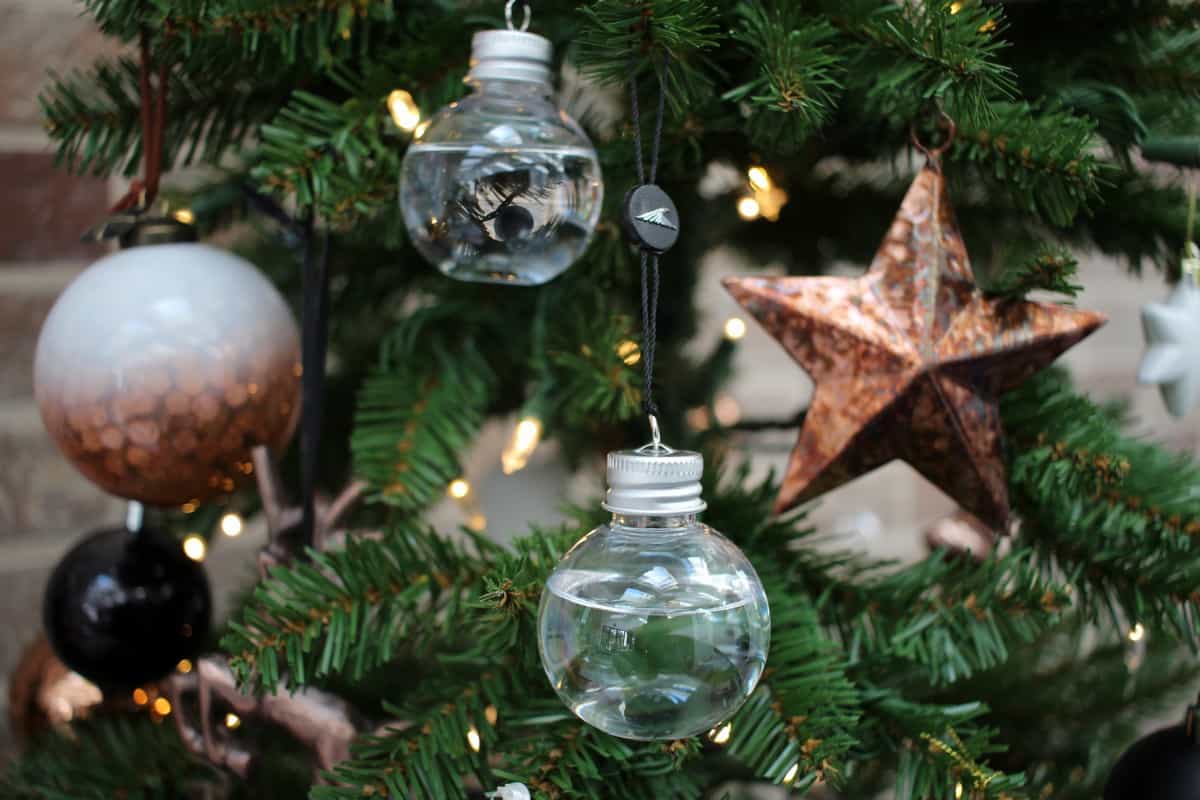 Delicious Christmas Decorations - Edible Treats this Festive Season