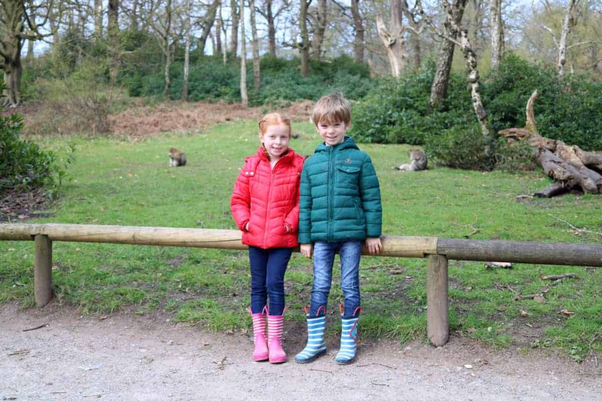 Trentham Monkey Forest Review