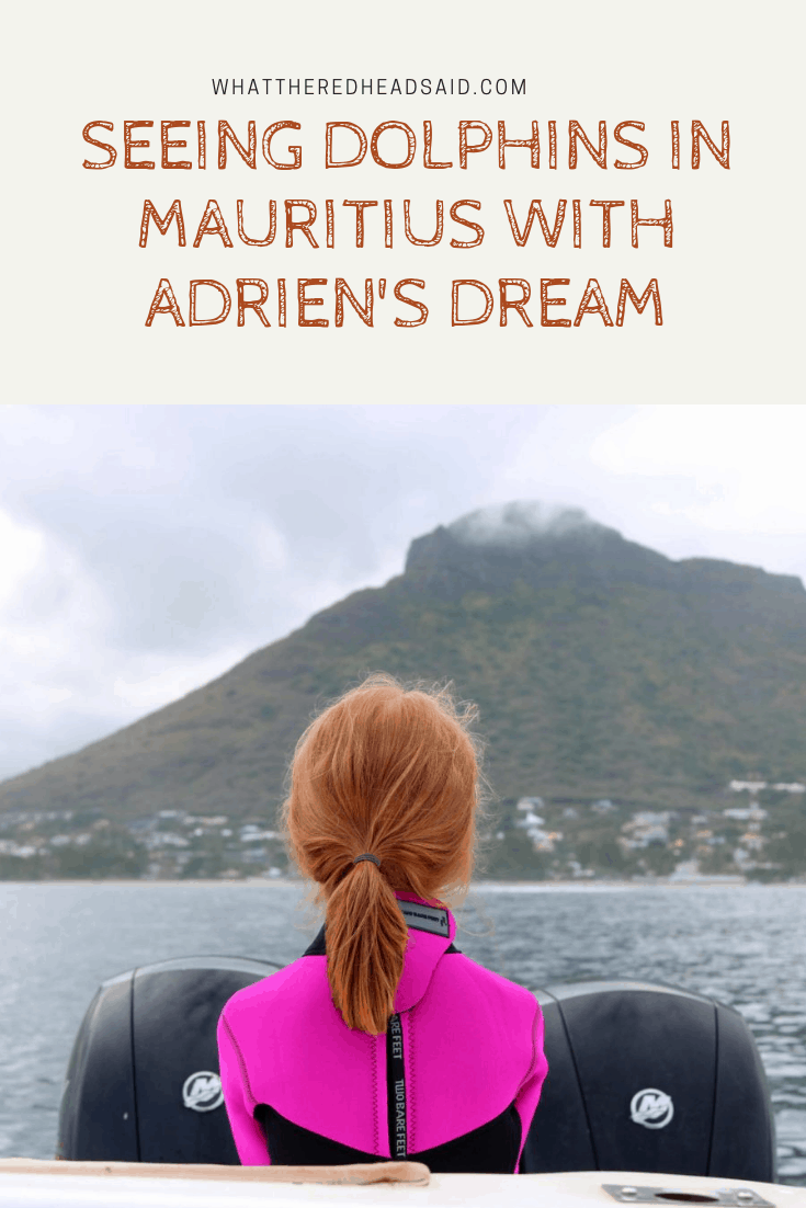 Seeing Dolphins in Mauritius with Adrien's Dream