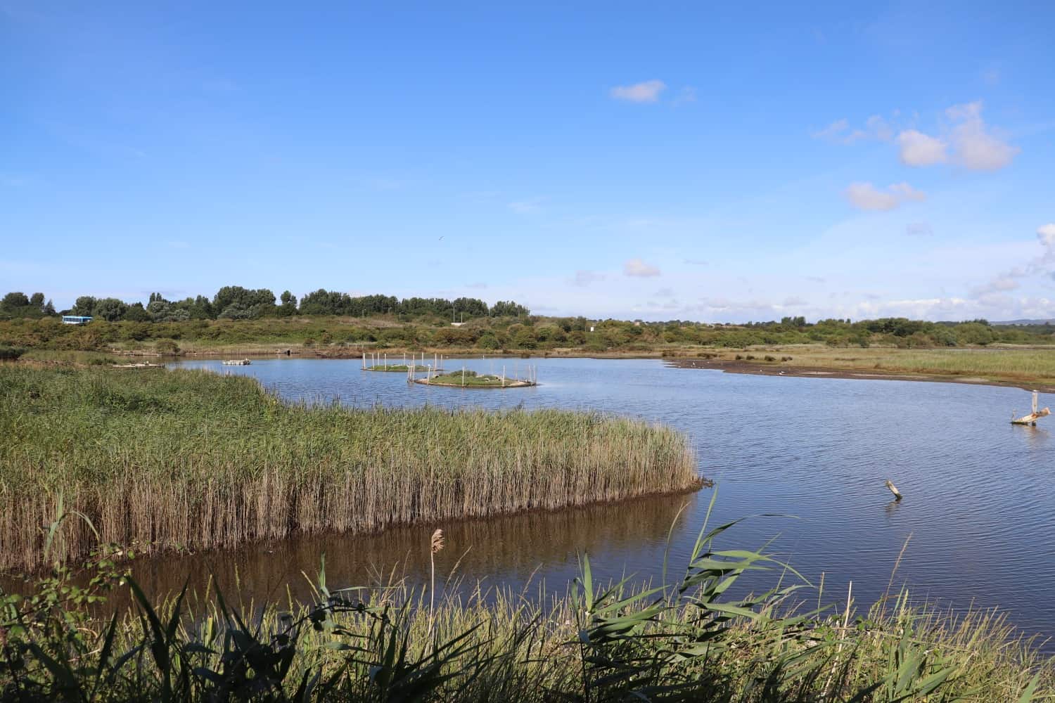 RSPB Lodmoor and Lodmoor Country Park
