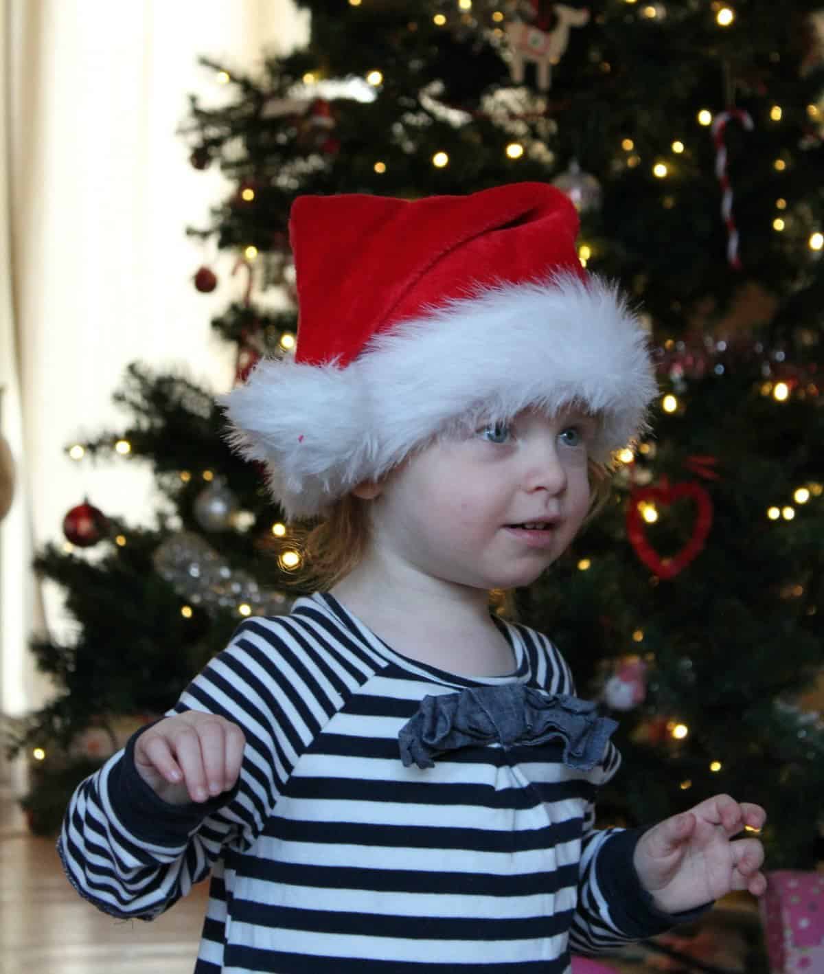 Santa Hat - The Ordinary Moments