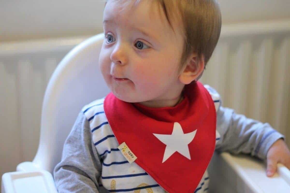 funky giraffe dribble bibs