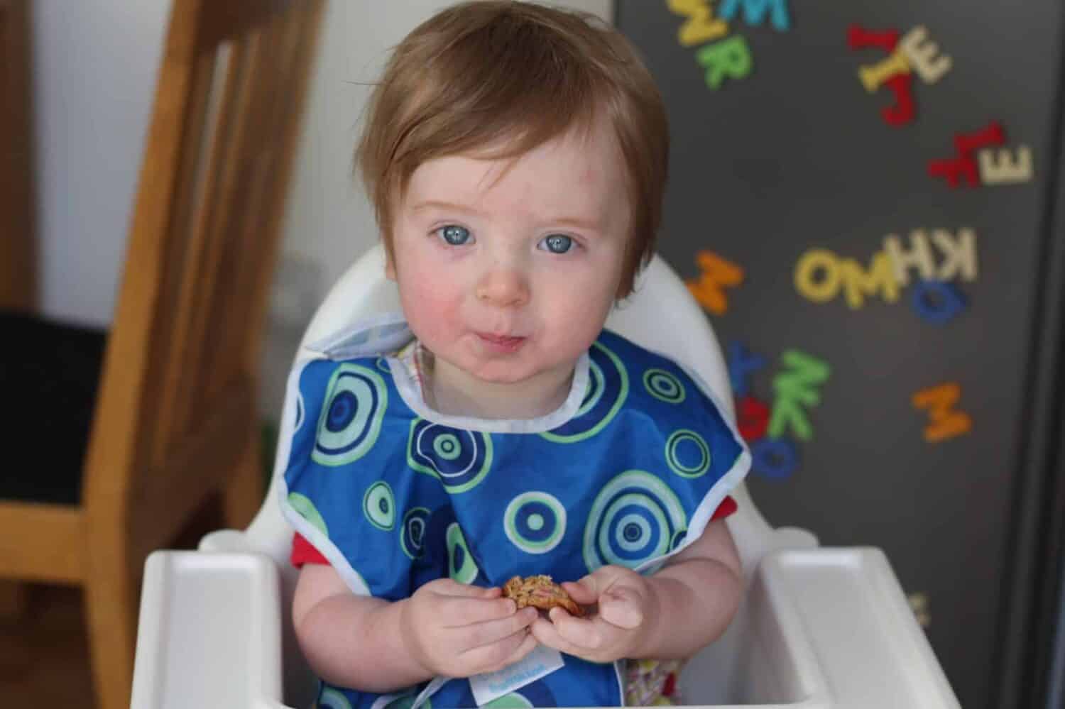 6 Months of Baby Led Weaning