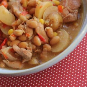 Slow Cooker Chicken & Haricot Bean Stew