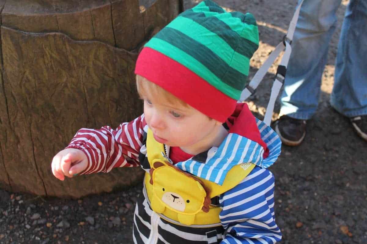 Alice Holt Forest Winter Woodland Christmas Event Review