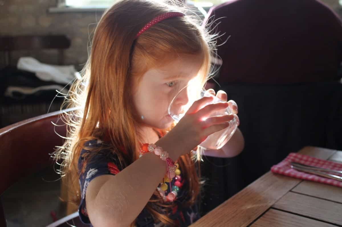 Review: Sunday Lunch at The Fox and Goat, Tiddington