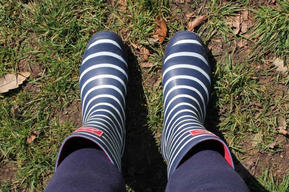 Joules Molly Wellies from Cloggs Review