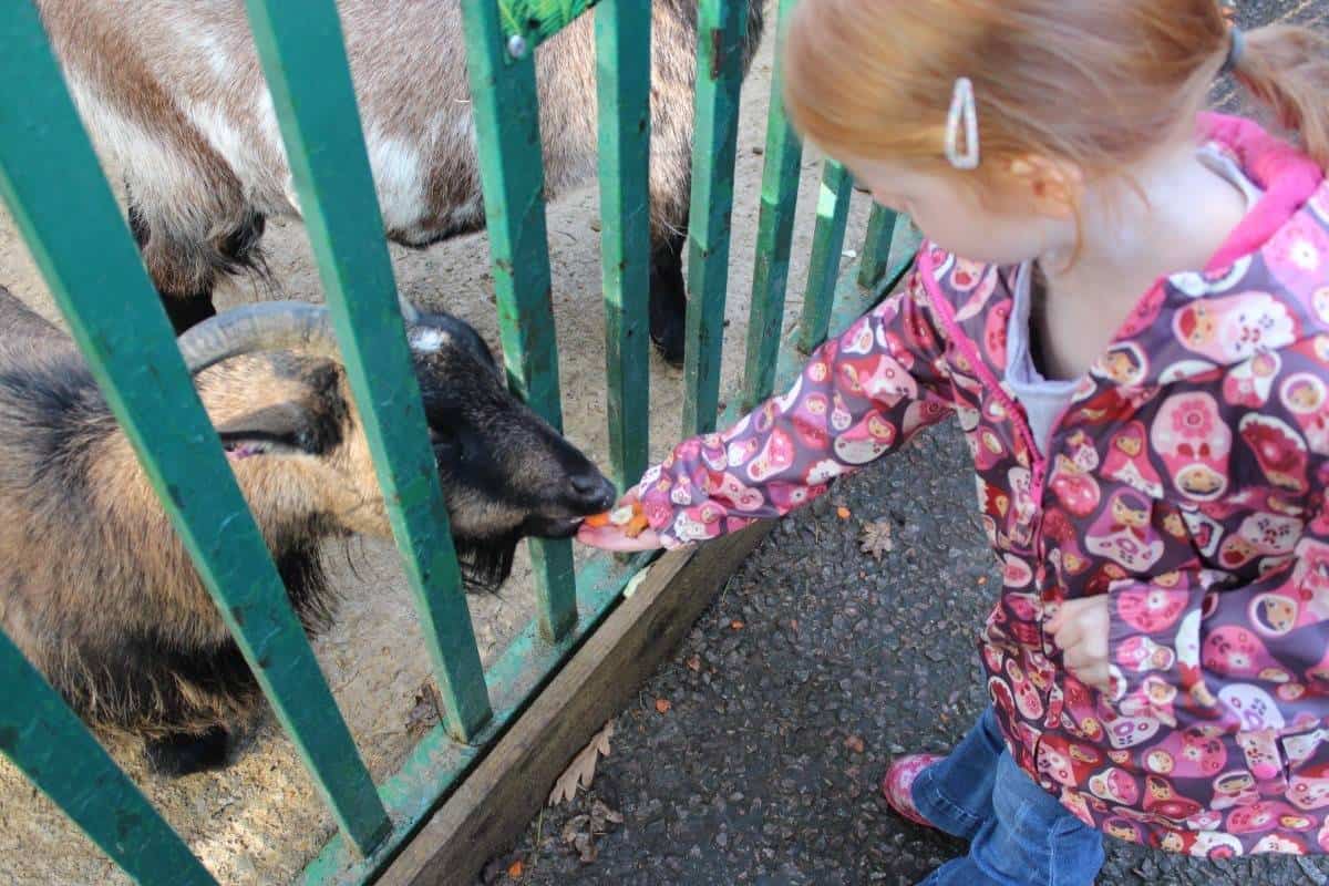 A Day Out at Paradise Wildlife Park