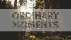 The Ordinary Moments