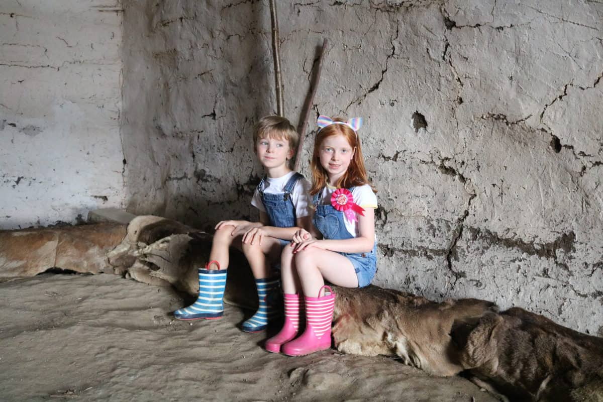 A Day Out at Butser Ancient Farm