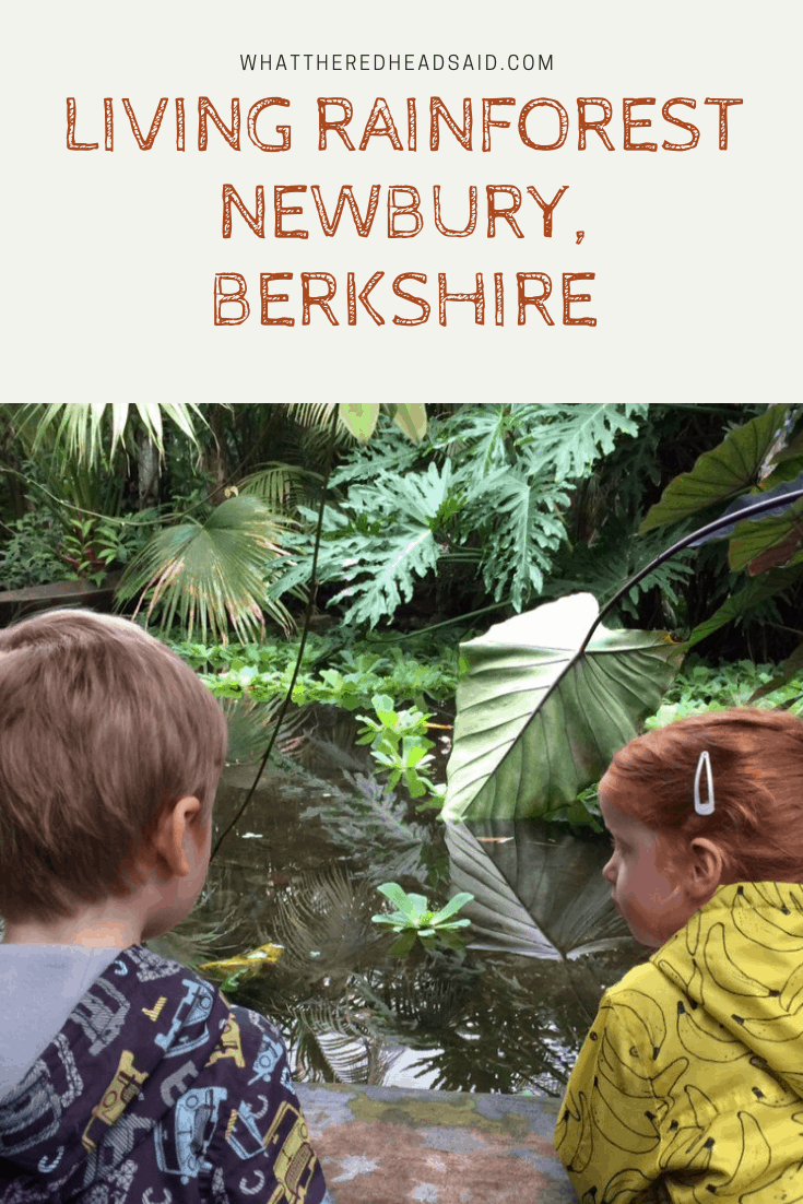 Living Rainforest Review - Newbury, Berkshire