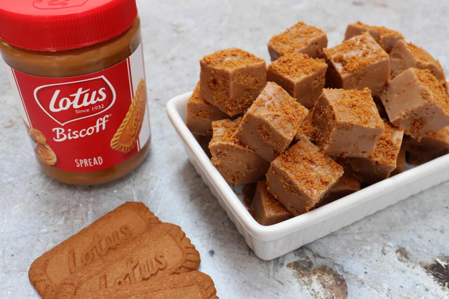 Slow Cooker Lotus Biscoff Fudge Recipe - What the Redhead said