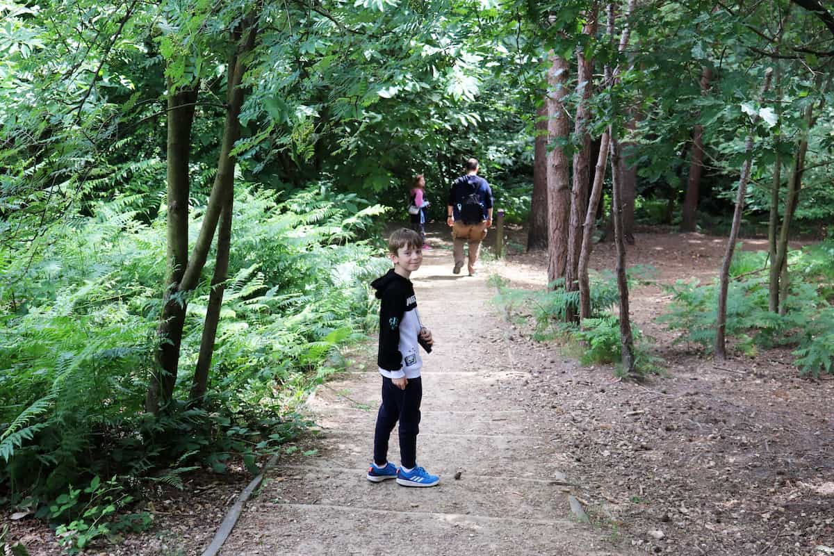 Exploring Lightwater Country Park - Surrey