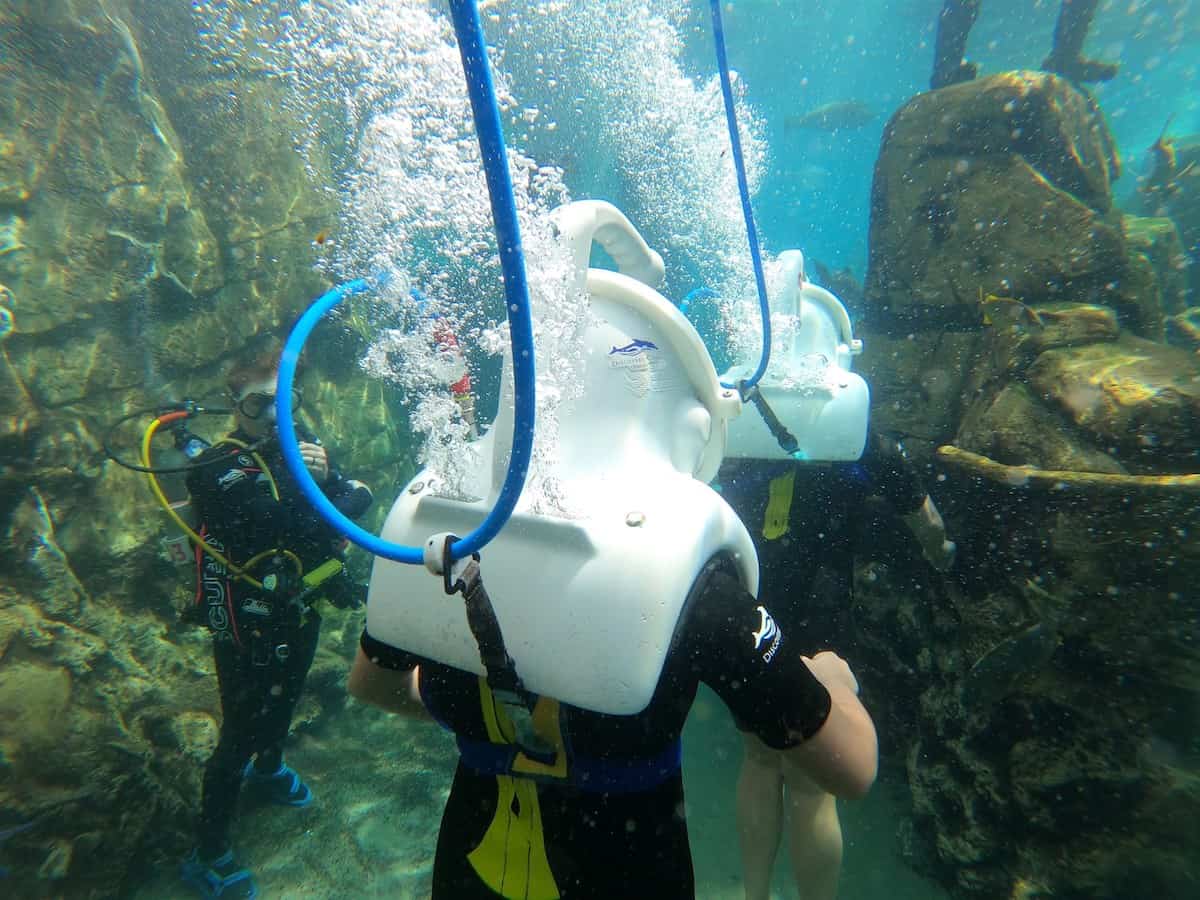 Seaventure at Discovery Cove