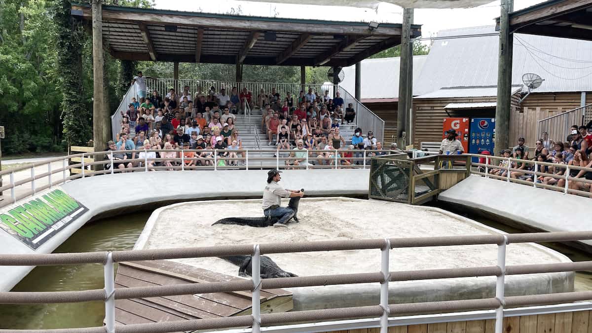 Our First Visit to Gatorland Orlando