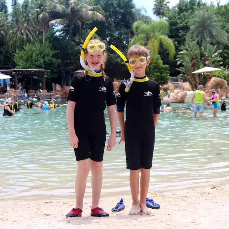 Our Top Tips for Discovery Cove