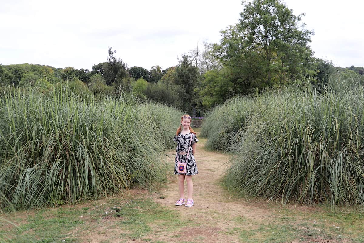 A Birthday Day Out at Beale Wildlife Park