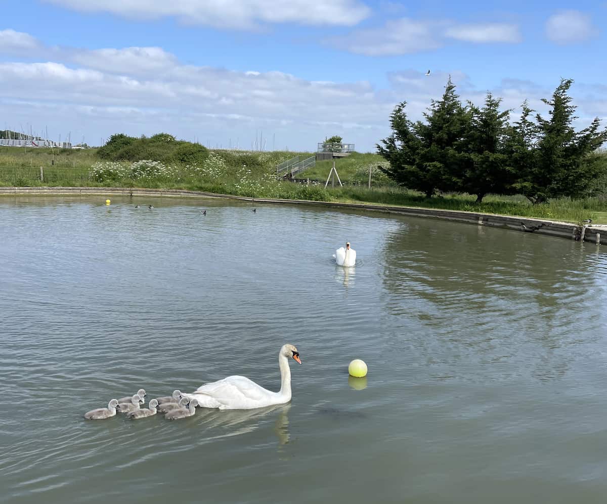 May Half Term at Away Resorts Mill Rythe Coastal Village - A Hayling Island Holiday Park